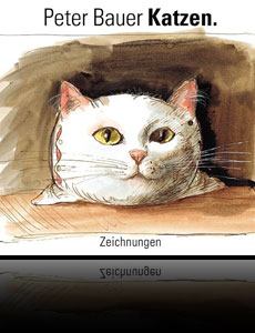 Katzen - Zeichnungen